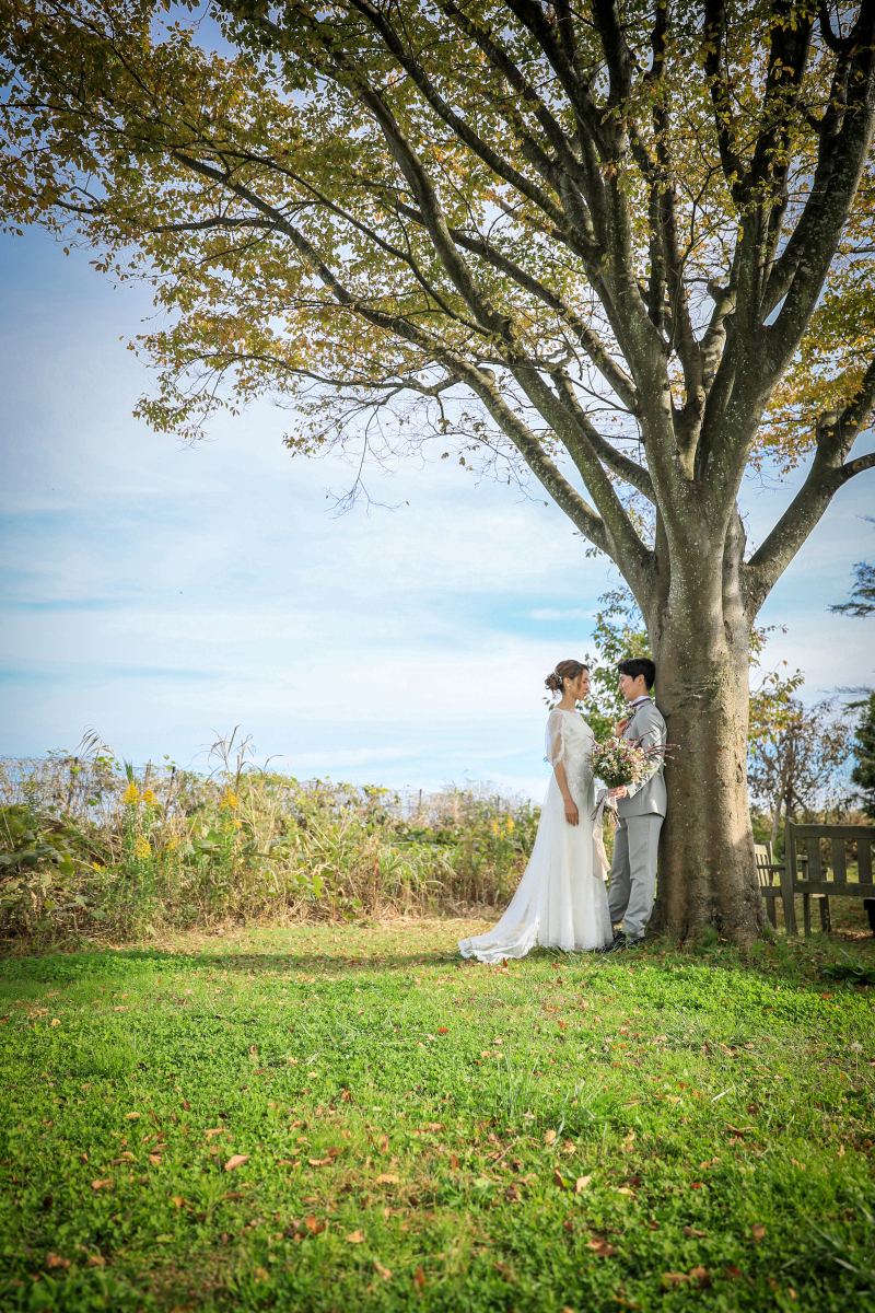 見晴らしのいい高台も☆