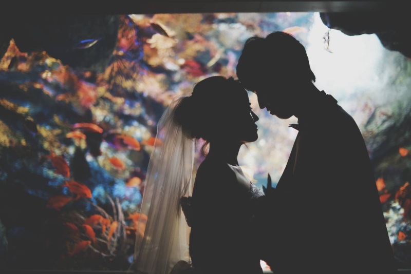 幻想的な世界観