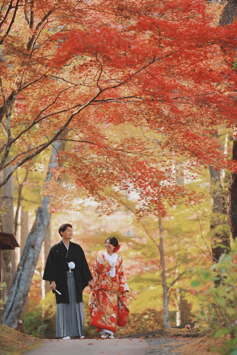 紅葉ロケはここ！！