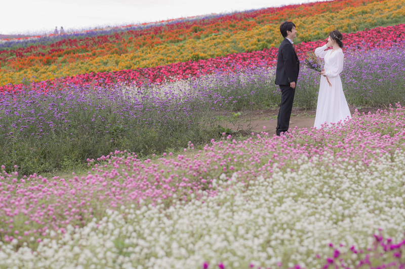 壮大な敷地に広がるお花畑☆
