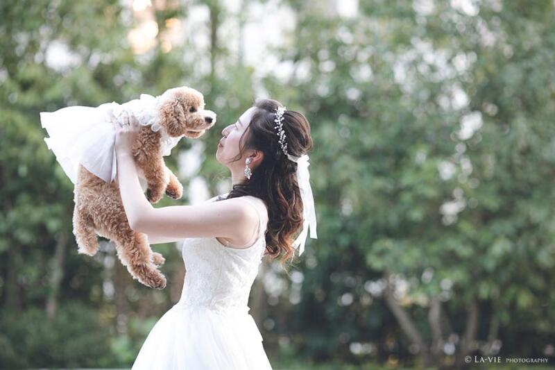 「ロケーション撮影」ならお散歩感覚で