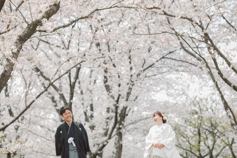 期間限定!お得なキャンペーン開催中!