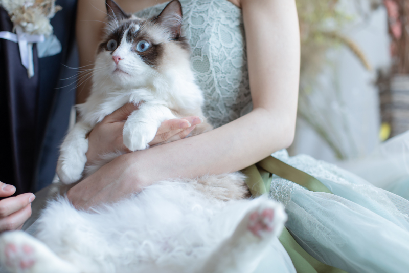 ラヴィファクトリー仙台店_ペットと一緒に撮影できる