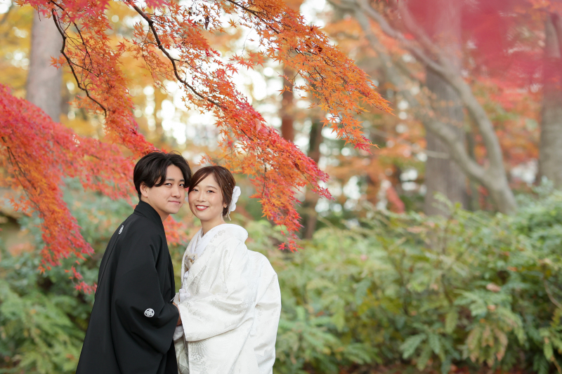 【11/17、11/21限定】お茶室紅葉撮影スペシャルプラン★