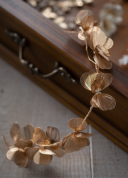 ヘッドアクセサリー