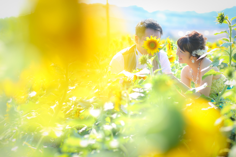 あなただけを見つめる