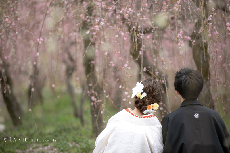しっとりと風情のある写真