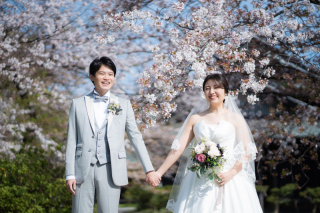 桜に包まれる能楽堂