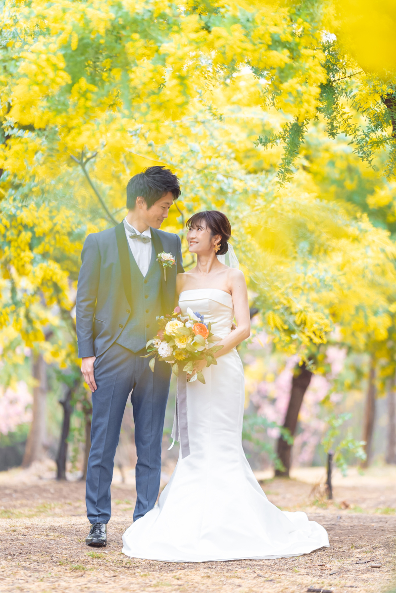 もふもふミモザ