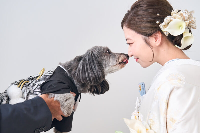 お鼻ツンっと可愛く