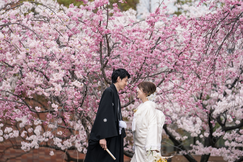 満開の桜の中で