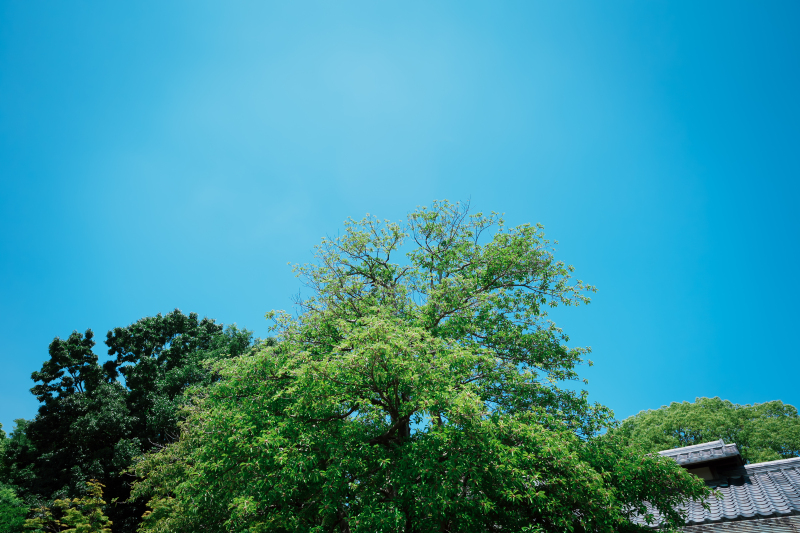 当日の空