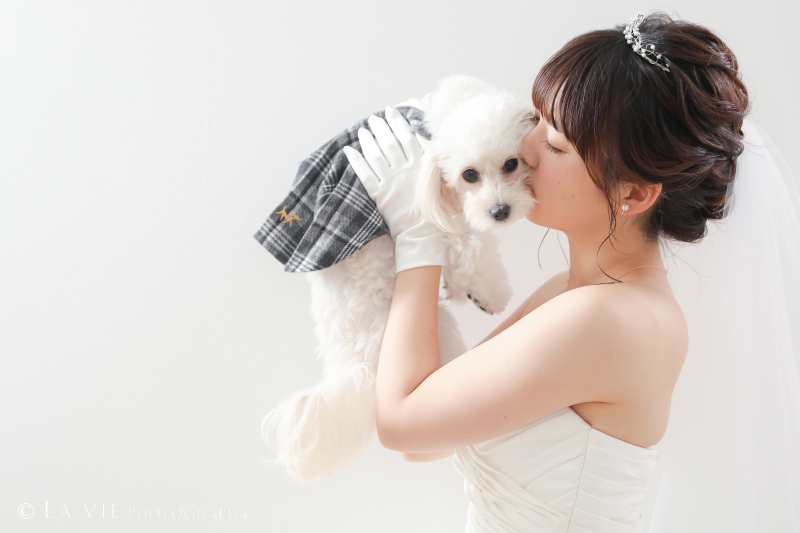 わんちゃんと♡婚姻届用のお写真