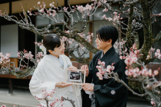 桜と緑と六華苑