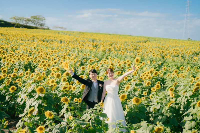 いっぱいの向日葵に囲まれた花ひろばで