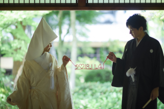 嫋やかに・・・