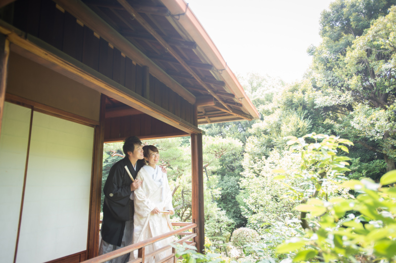 あそこ、見て見て！