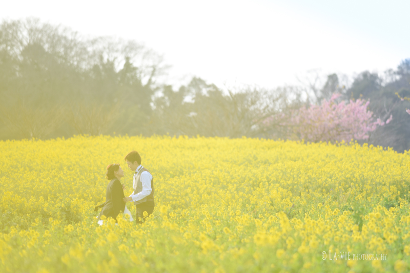 富良野さながら