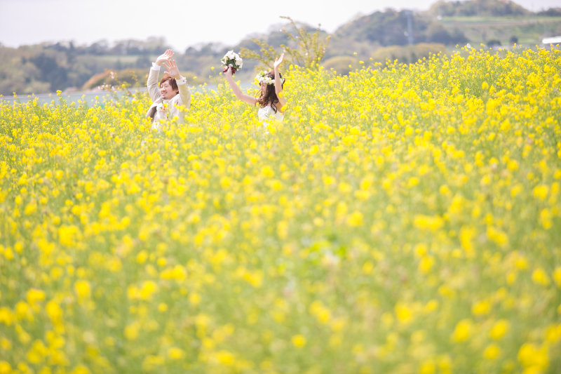 菜の花に囲まれて