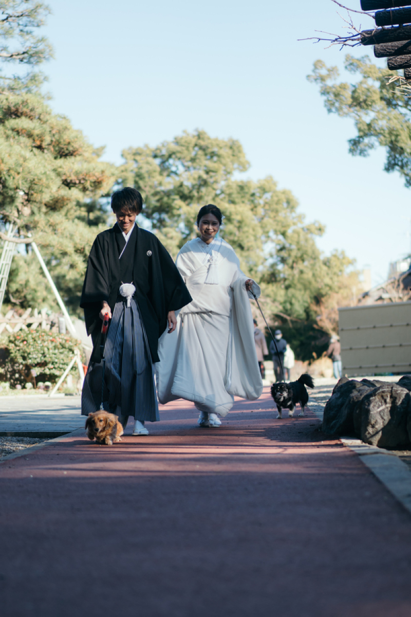 仲良くお散歩！