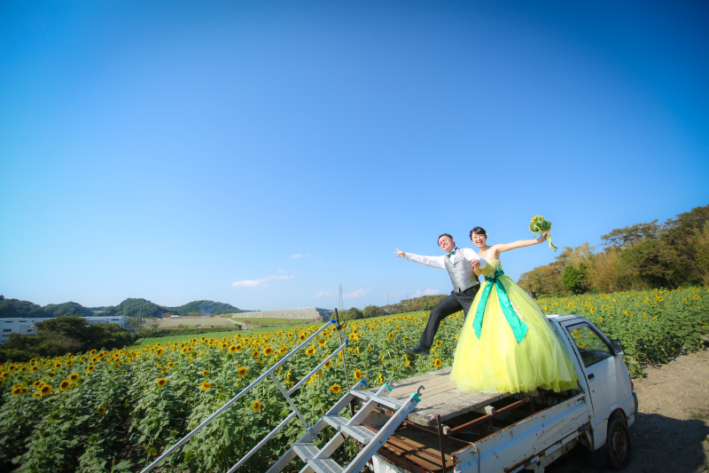 青い空と黄色のじゅうたん