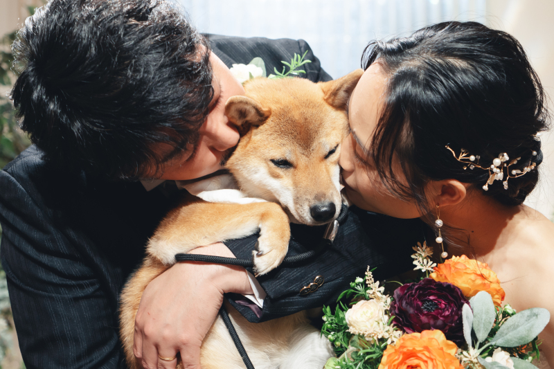 ワンちゃんと一緒に