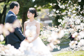満開の桜の中で