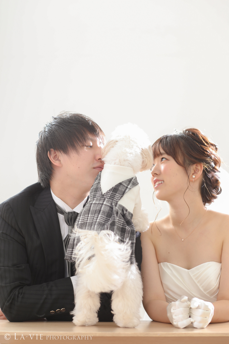 わんちゃんの後ろ姿