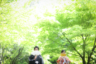 みどりの季節
