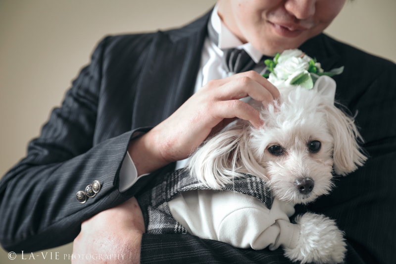 トイチーちゃんと