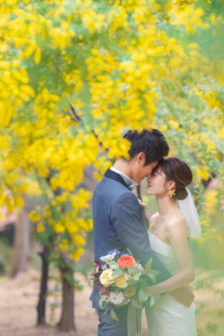 もふもふミモザ