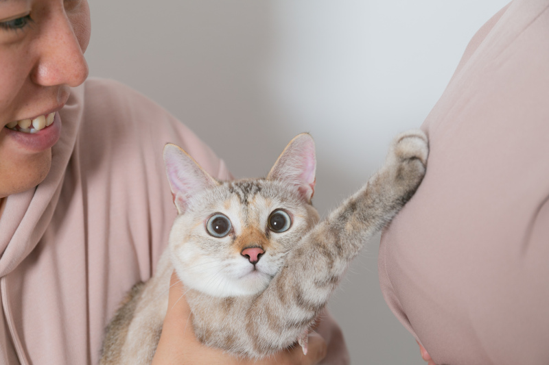 ラヴィファクトリー名古屋店_マタニティフォトの撮影ができる