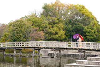 白鳥庭園