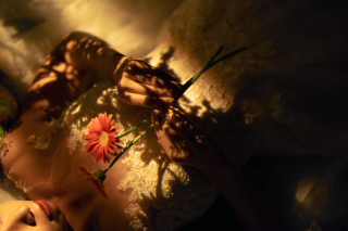 ラヴィファクトリー名古屋店_フラワー×スタジオ&ロケ