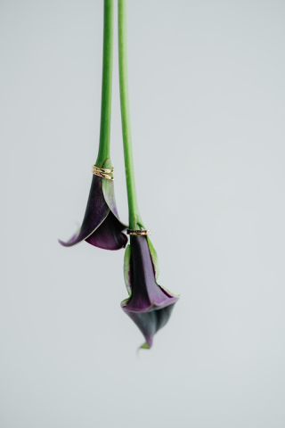 ラヴィファクトリー名古屋店_フラワー×スタジオ&ロケ