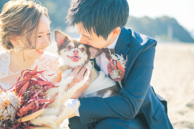 【ペットと一緒も追加料金なし!】ファミリーウエディングフォト(洋装1着+新婦ヘアメイク+全データ)