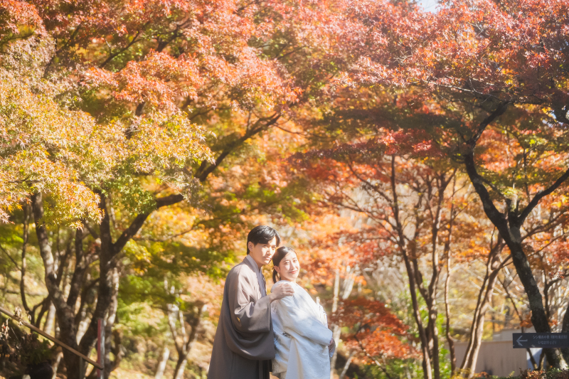 【紅葉早割キャンペーンプラン】和装撮影*撮影期間11/20〜12/10