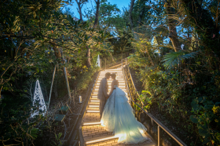 ウインターイルミネーション