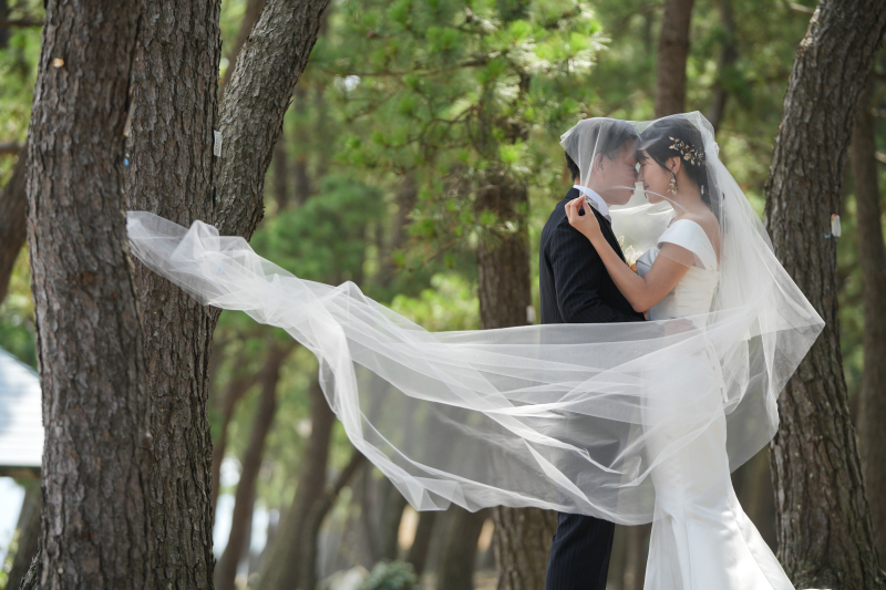 ベールに包まれて…