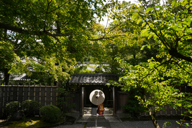 新緑とシルエット