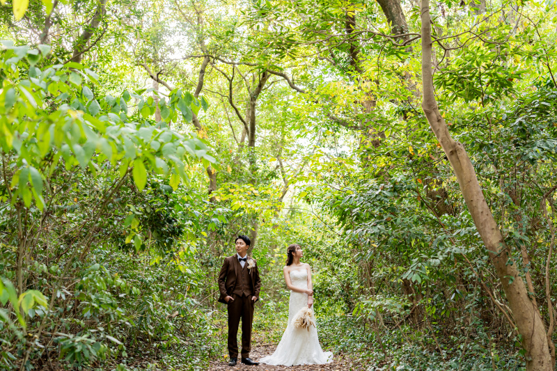 深い森のイメージで