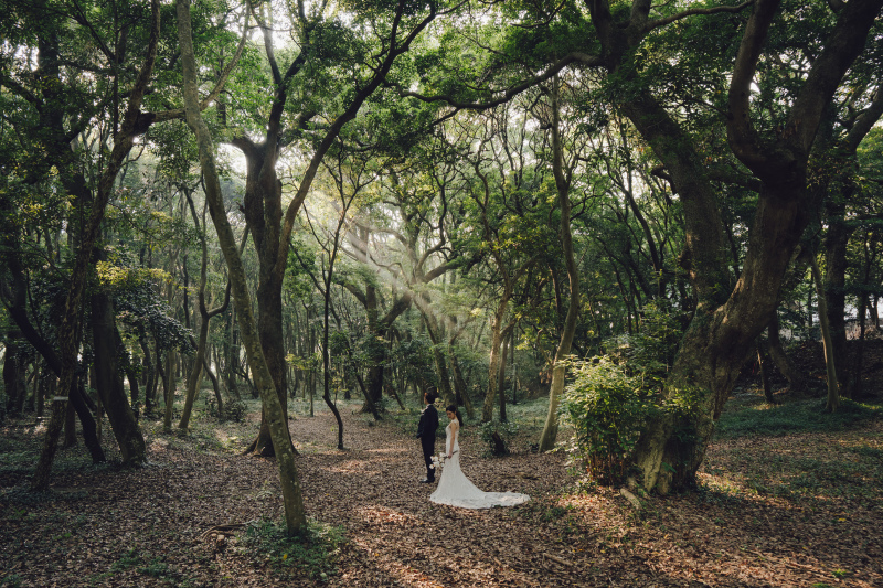 壮大な森の中で