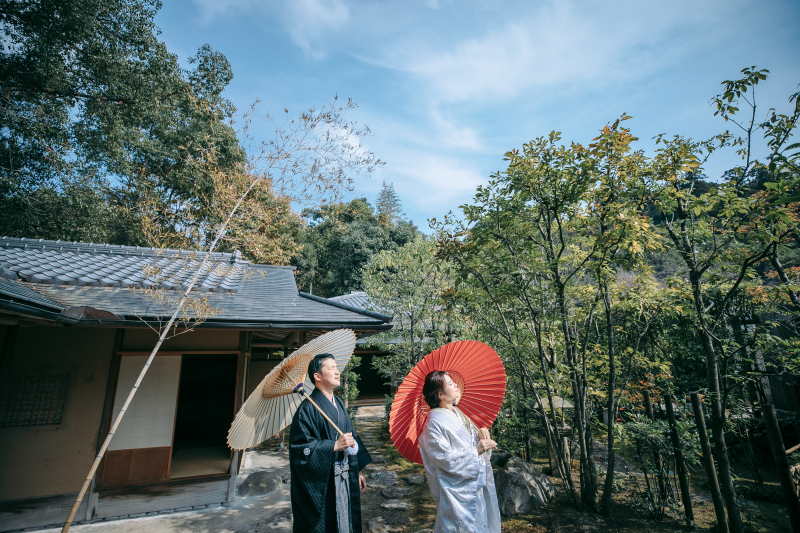 晴天の空と緑の中で。