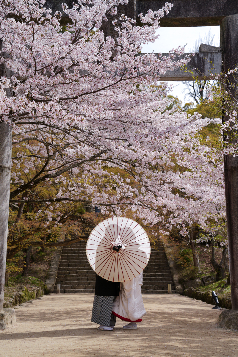 番傘でシルエットを