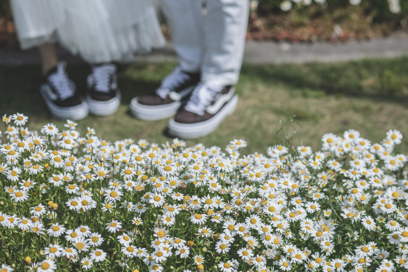 オールドスクール