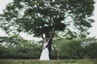 パークフォトウエディング