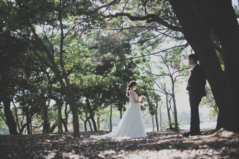 木漏れ日差し込む森の中で