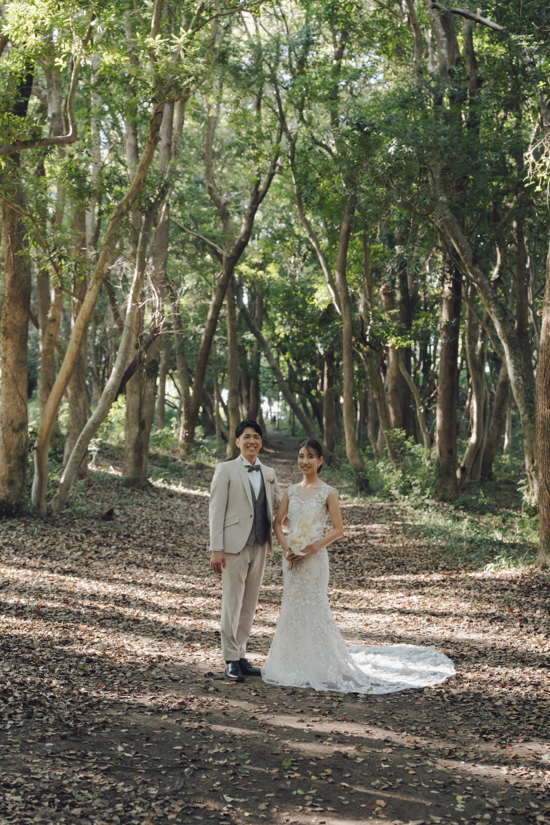 森から撮影スタート