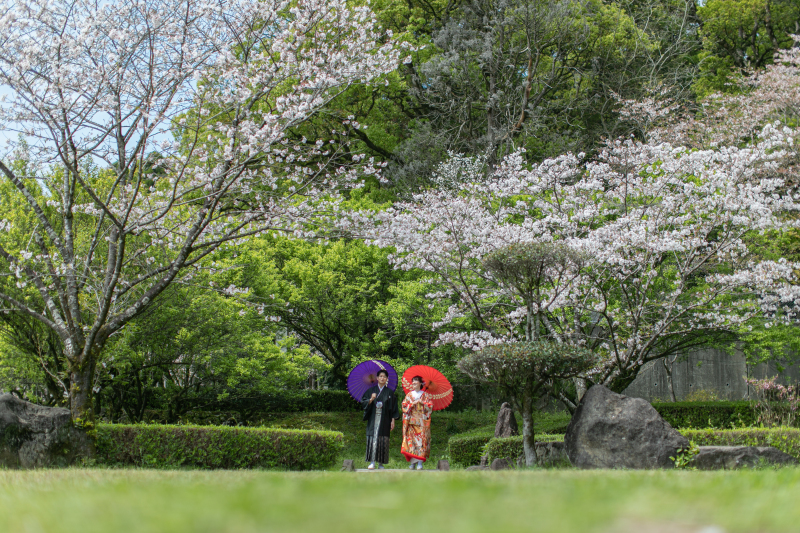 桜ロケーション