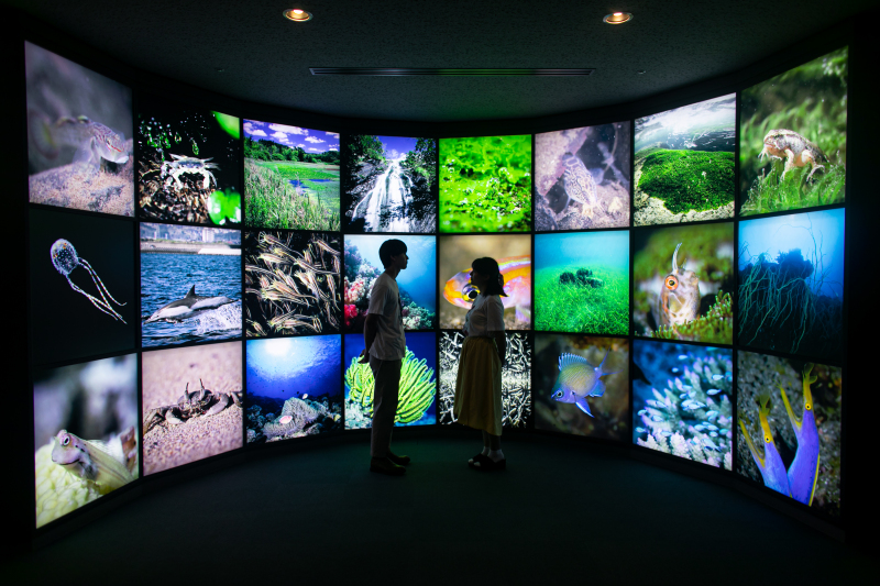 いおワールド かごしま水族館